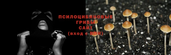 мяу мяу мука Нязепетровск