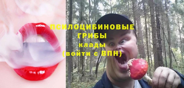 мяу мяу мука Нязепетровск