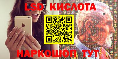 стаф Аргун