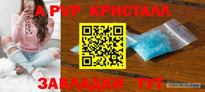 стаф Аргун