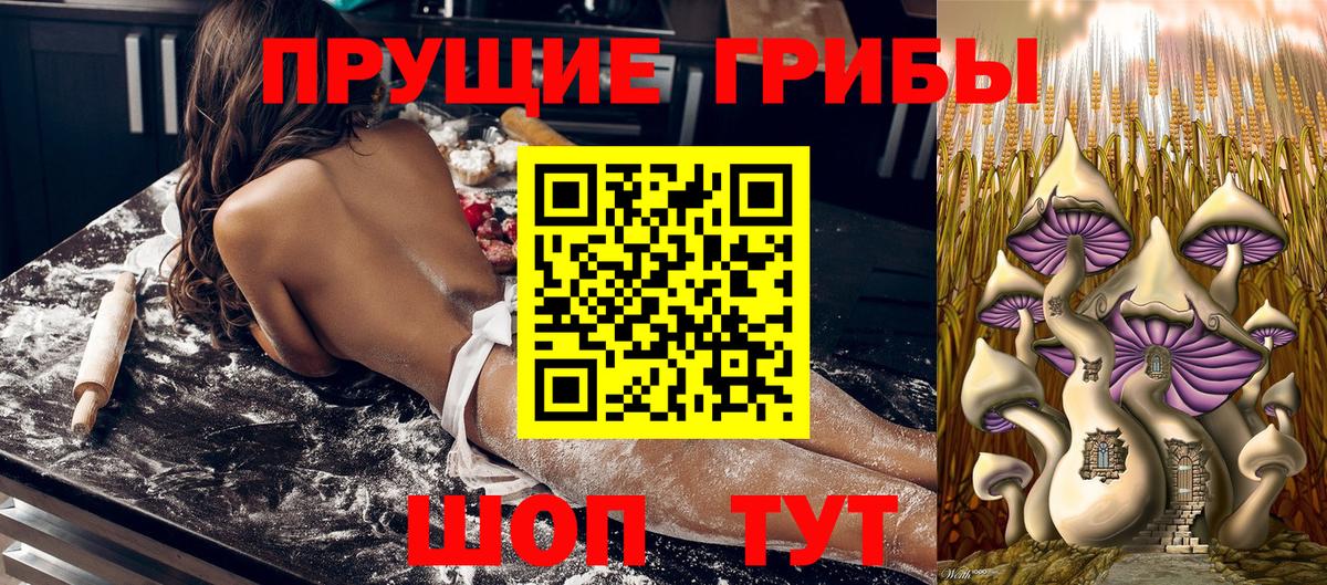 Псилоцибиновые грибы прущие грибы Асбест